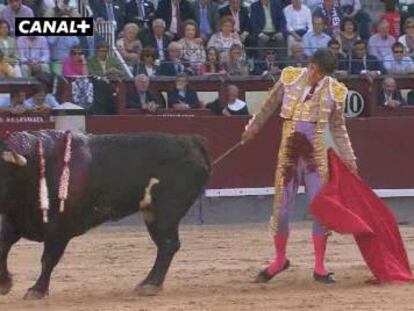 ¡Se buscan toreros!