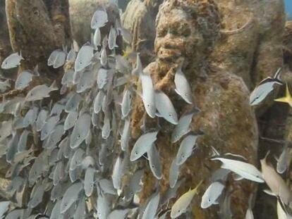 Un museo que corta la respiración