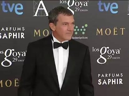 La alfombra roja de los Premios Goya 2015.