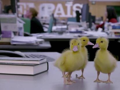 ‘Jot Down Smart’, llega la realidad en blanco y negro