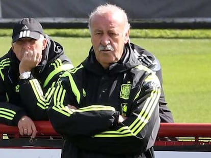 Vicente del Bosque durante el Mundial de Brasil 2014.