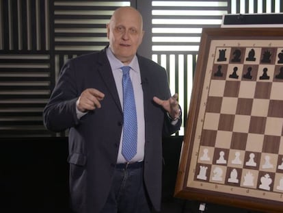 Stein, tan brillante como aciago