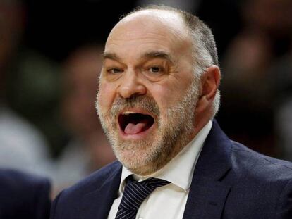 Pablo Laso, durante la final de la Copa del Rey de baloncesto. En vídeo, declaraciones de Laso en una rueda de prensa este jueves.