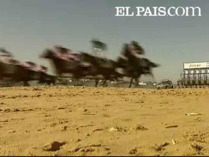 Esta tarde se ha celebrado la tradicional Carrera de Caballos en la playa gaditana de Sanlúcar de Barrameda. En esta jornada se han disputado cuatro carreras con la intervención de 51 purasangre. Esta edición cuenta con un presupuesto de 670.200 euros y de los que 182.920 se destinan a premios. La pista tiene una longitud de dos kilómetros desde la playa de Bajo Guía, donde está la salida, hasta las inmediaciones de la Punta del Espíritu Santo, en la playa de Las Piletas, en la que estará la meta