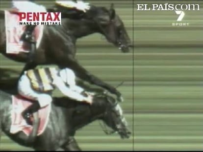 Por una ínfima diferencia, ha logrado el caballo australiano "Viewed" la victoria en la Copa Melbourne de hípica.Es uno de los finales más ajustados en los 148 años de historia de esta prueba, considerada la más importante del Hemisferio Sur.