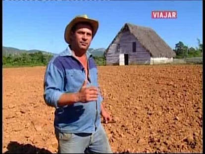 Desde su cultivo en las vegas, hasta la elaboración manual en Viñales y Pinar del Río capital, recorremos todo el proceso de elaboración del tabaco cubano en el Valle de Viñales, inundado por el aroma del tabaco más famoso del mundo.