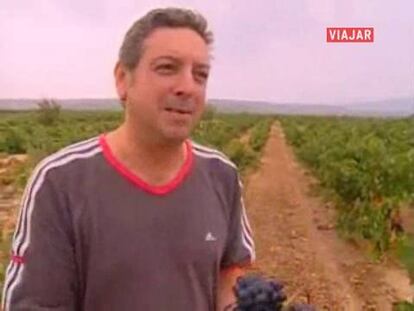 Enoturismo en contacto directo con la uva, su cosecha, tratamiento y conversión en vino en medio de viñedos de La Rioja.