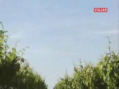 Queso y vino en Tierra de Barros, Badajoz