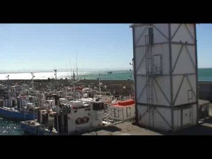 Puerto Elizabeth: naranjas, aires coloniales y surf