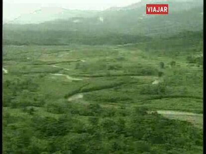 Más de 40 parques naturales, más de un millón de hectáreas declaradas reserva natural y alrededor de un 30% del territorio tupido por bosques originales