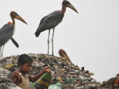 Uma criança, em um lixeiro em Guwahati, Índia.