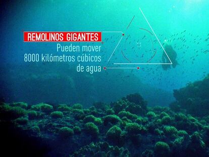 Recorrer el mundo investigando los oceános