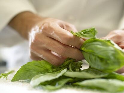 Agrochef, entre la huerta y los fogones