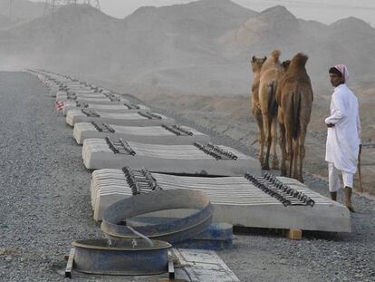 Beduino lleva sus dromedarios por la vía del tren en el tramo entre Yeda y Medina.
