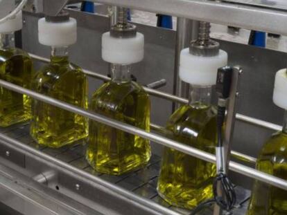 Envasado de aceite de oliva virgen extra en una almazara de Jaén. En el vídeo, explicación de cómo se denomina el aceite como extra.