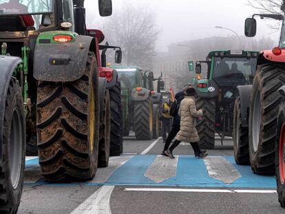 Manifestación de agricultores y ganaderos en Toledo, este martes. En vídeo, el ministro de Agricultura anuncia medidas para paliar la crisis del campo.