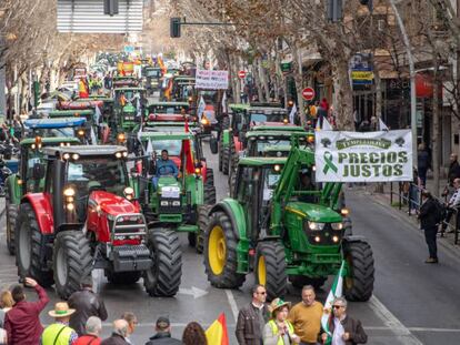 Tractores colapsan este miércoles el centro de Granada, en las inmediaciones de la plaza de toros. En vídeo, el anuncio del ministro de Agricultura, Luis Planas.