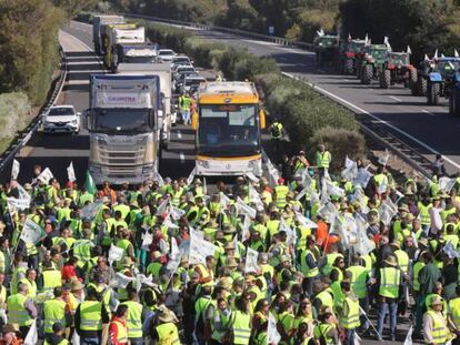 Cientos de agricultores se concentran el la AP-4 entre Sevilla y Cádiz. En vídeo, continúan las protestas de los agricultores.