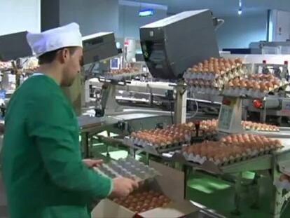 El FMI calcula que España creará más de 600.000 empleos hasta 2016