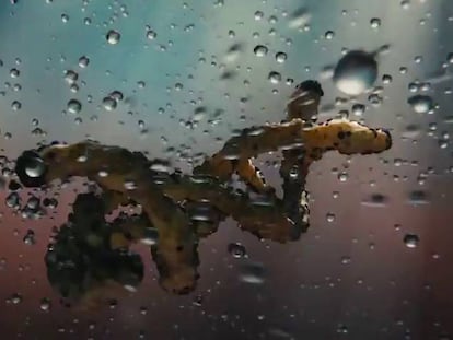 Trabajar en el laboratorio de los misterios de la vida