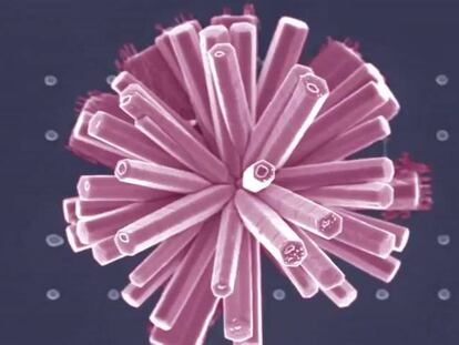 Trabajar con cápsulas mil veces más pequeñas que el cabello humano