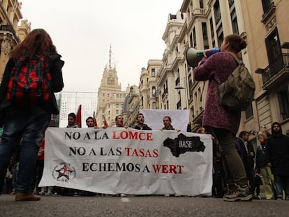 Manifestación de la Marea Verde, el 30 de noviembre en Madrid.