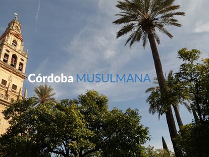 Córdoba: el peso de la comunidad musulmana en las urnas