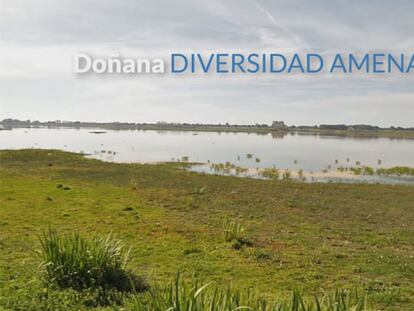 “La economía local es muy dependiente del agua y esta es vital para Doñana”