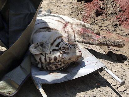 17/06/2015: Un día en un minuto