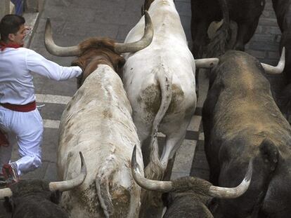 The eighth and final Running of the Bulls at Sanfermines 2015.