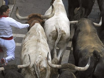 Un mozo corre ante los toros de la ganadería de Miura.