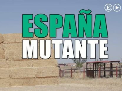 España Mutante: Descubre los pueblos "únicos"