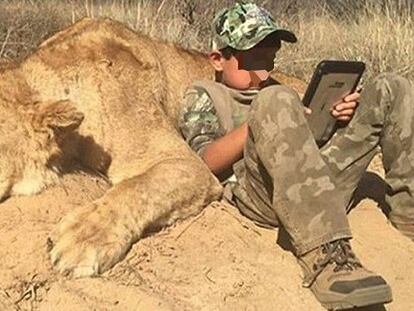 Acosado por publicar fotos de sus hijos con animales de safari muertos