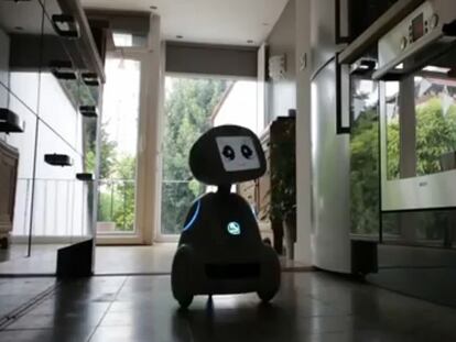 ‘Buddy’, el robot de compañía low-cost