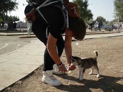 Un adolescente sirio recorre 500 kilómetros a pie con su cachorro