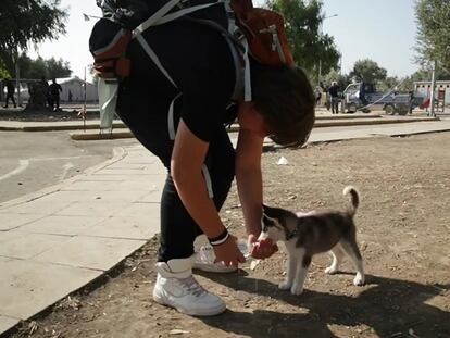 Un adolescente sirio recorre 500 kilómetros a pie con su cachorro
