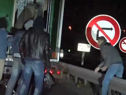 Unos inmigrantes encuentran un oso polar al intentar colarse en un camión