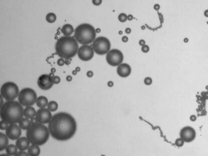 Submarinos microscópicos para atacar células cancerígenas