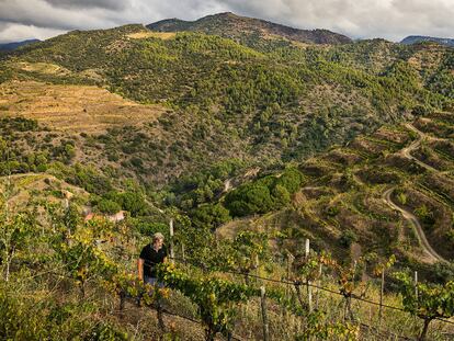 El milagro del Priorat