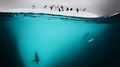 Viaje al fondo de los océanos