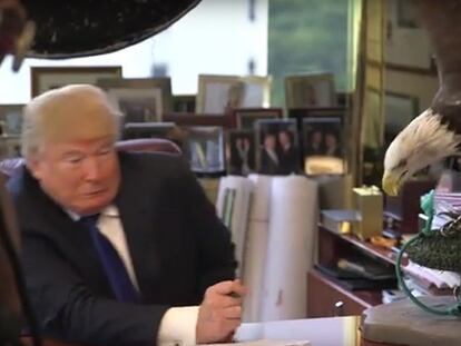 Un vídeo muestra a Donald Trump picoteado por un águila