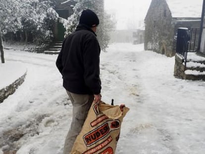 Imagen tras una nevada en O Cebreiro (Lugo).