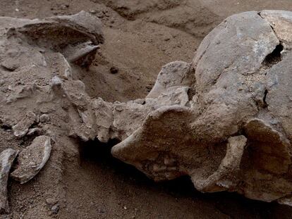 Una masacre hace 10.000 años habla sobre el origen de la guerra