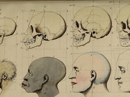 Desenho do século XIX.