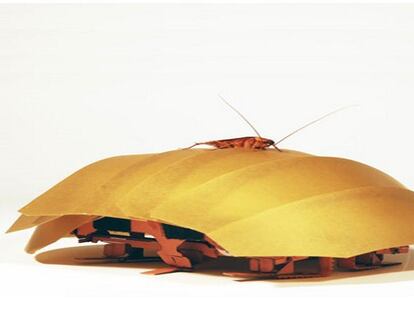 Científicos se inspiran en la estructura de la cucaracha para crear un robot.