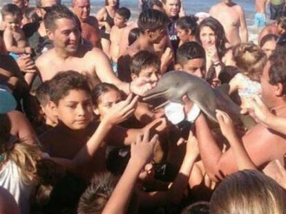 O golfinho que morreu por desidratação tirando selfie com turistas.