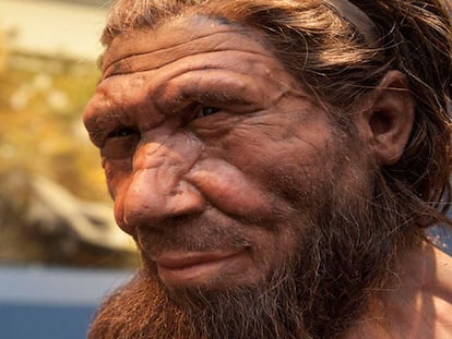 Reconstrucción de un neandertal en el Museo de Historia Natural de Londres / NHM