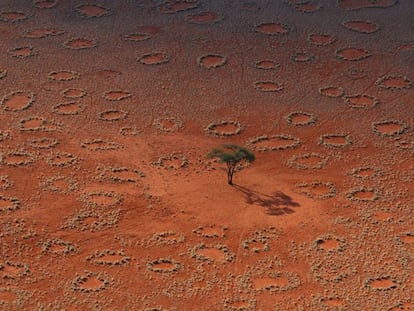 El origen y formación de los círculos de hadas de Namibia, en la imagen, son un misterio para la ciencia. Norbert Jürgens El País Vídeo