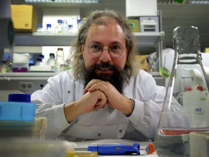 El investigador Mario Ruiz González.
