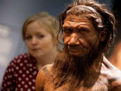 Los humanos modernos no tienen la marca del macho neandertal